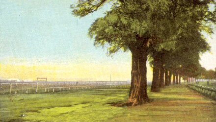 Doncaster Racecourse: 19th Century Races Painting
